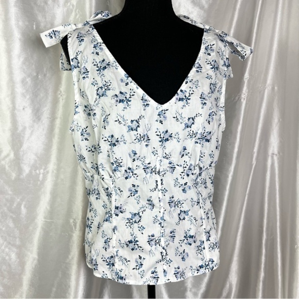 No Frills White & Blue Floral Faux Corset Top - Cottagecore Vibes | Size 2X